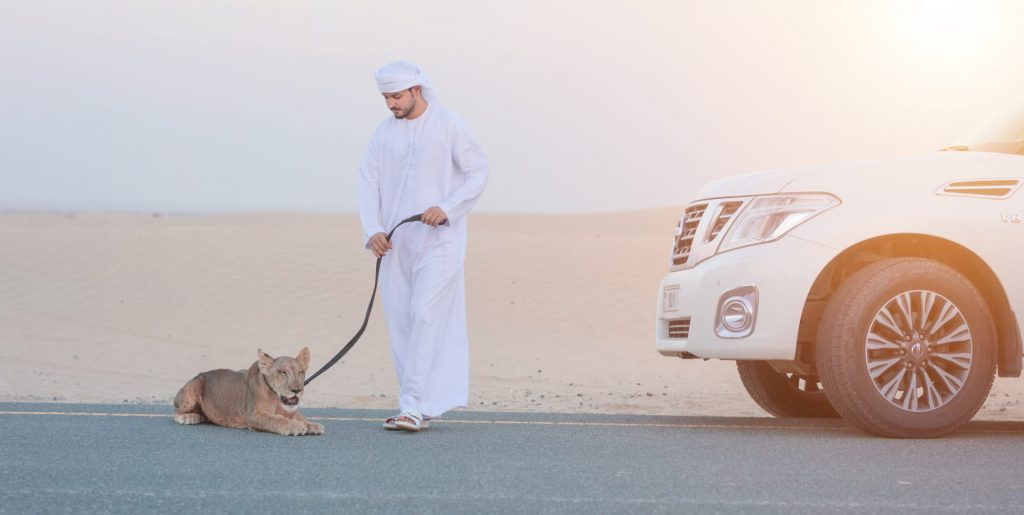 Dubai fashion photoshoot showcases fashion in an urban setting